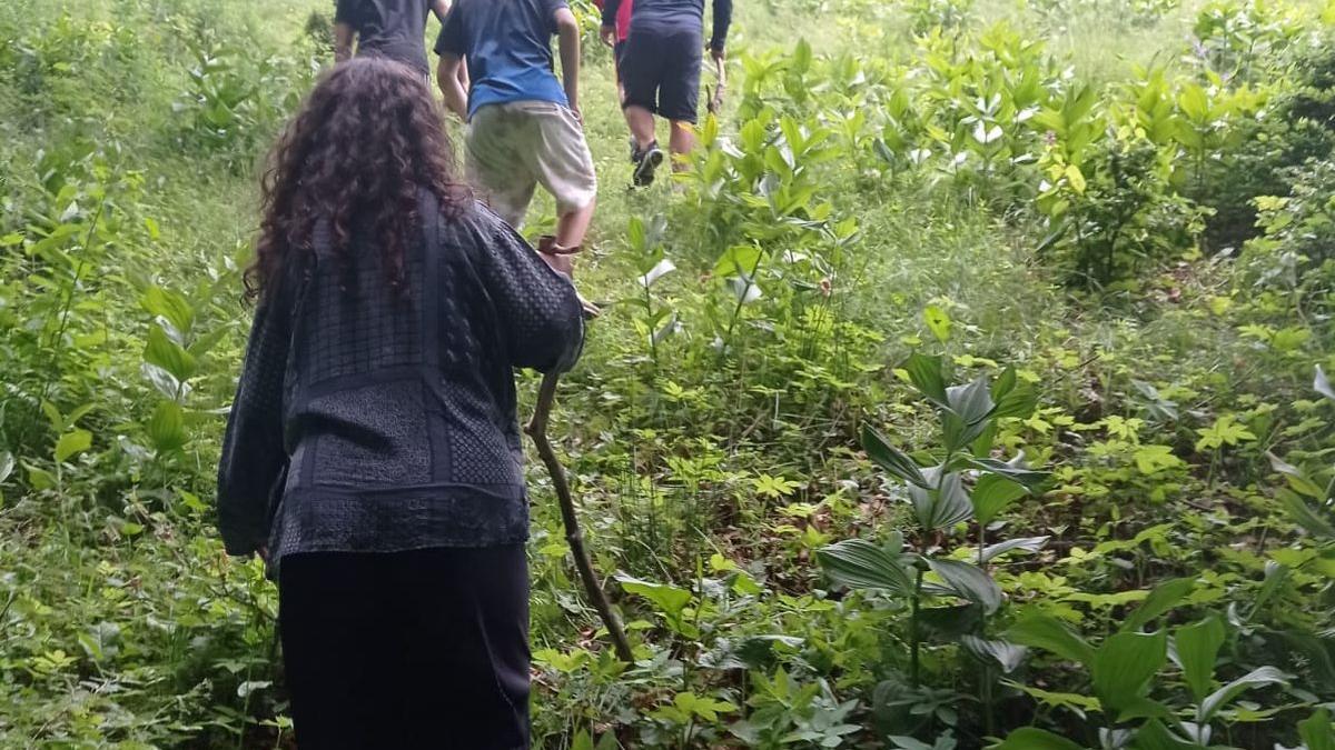 Adolescenți rătăciți pe munte, găsiți de jandarmii din Predeal
