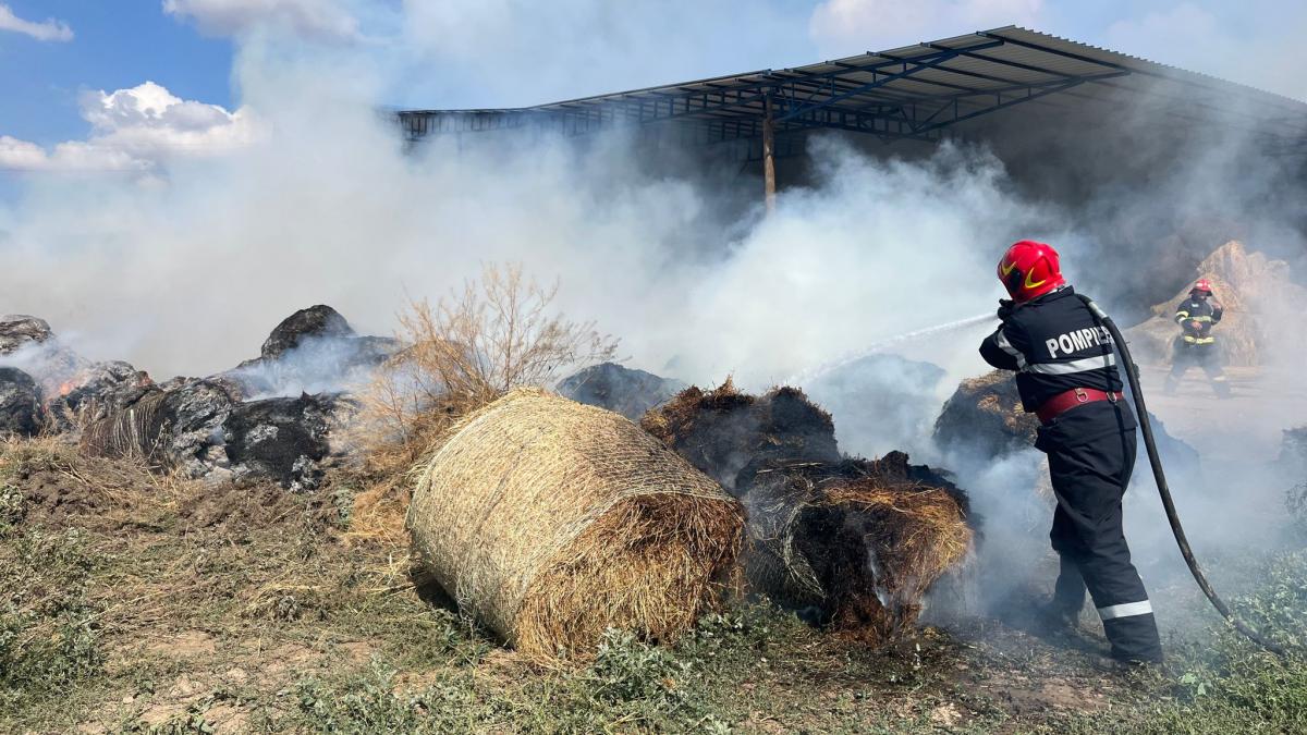 Incendiu de proporții: Ard 1000 de baloți de lucernă în județul Tulcea