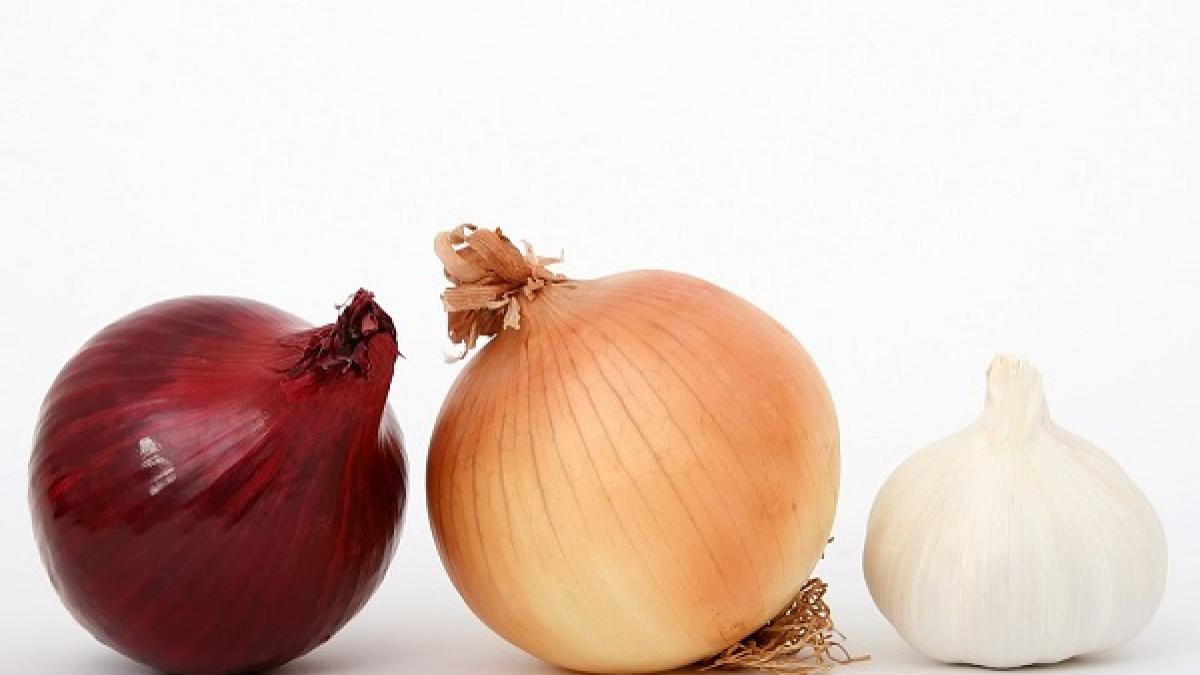 10 antibiotice naturale EFICIENTE în lupta împotriva infecţiilor