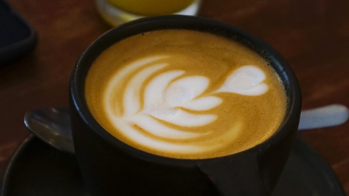 Beneficiile cafelei asupra creierului. Prof. dr. Vlad Ciurea: "Orele la care o bem depind de organism"