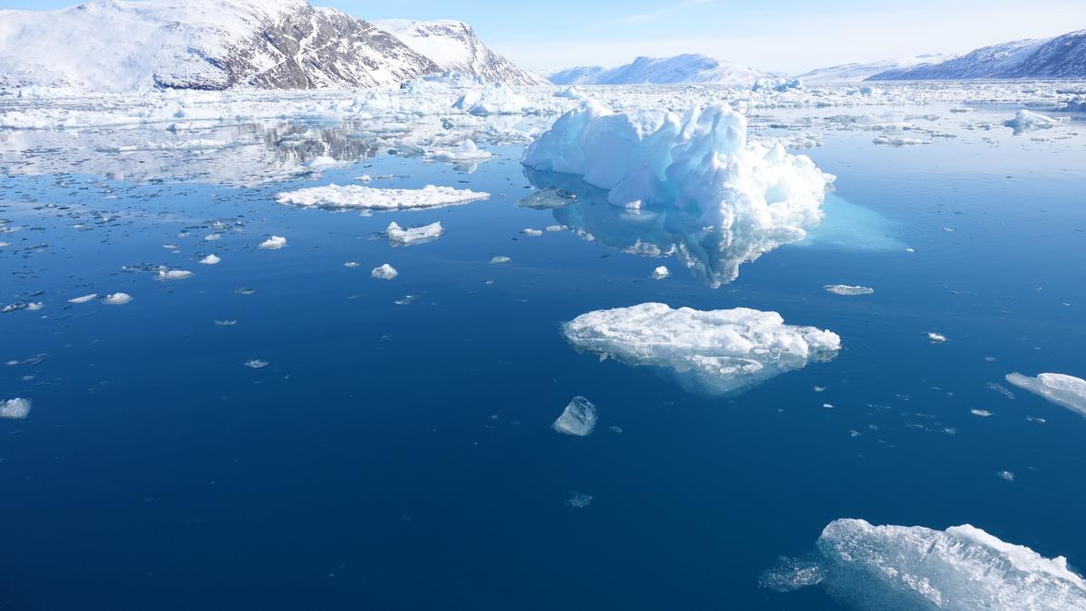 Alertă de tsunami în Pacific. Cutremur de magnitutine mare în Alaska