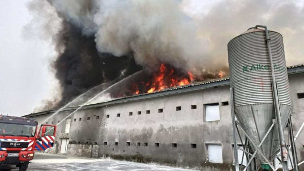Incendiu puternic la o hală din Maramureș. Intervin patru echipaje de stingere