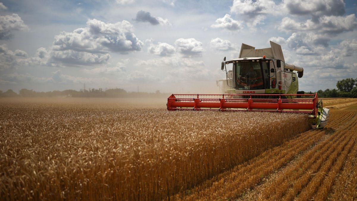 Prețurile produselor agricole rămân ridicate, consumul continuă să scadă