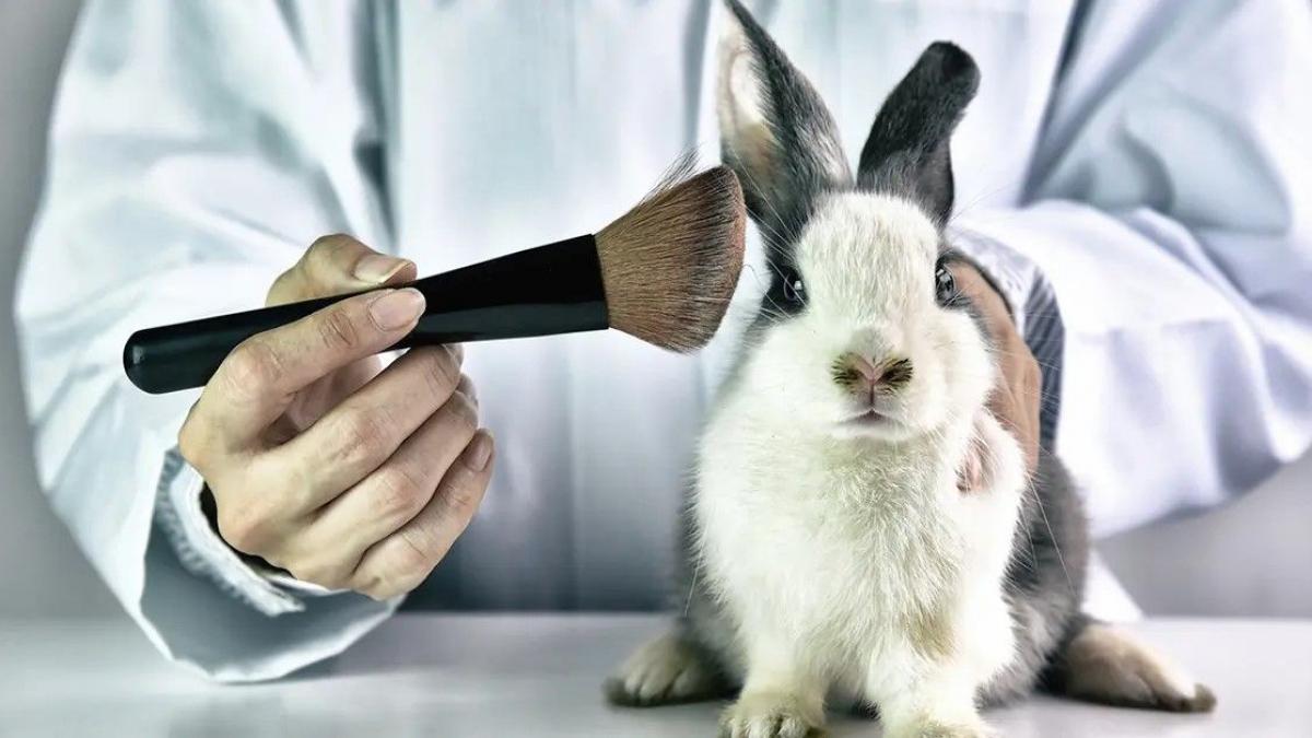 Iubitorii de animale au pus ochii pe industria cosmetică