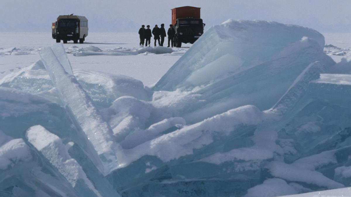 O ființă preistorică a fost readusă la viață. Cum a supraviețuit 46.000 de ani în Siberia