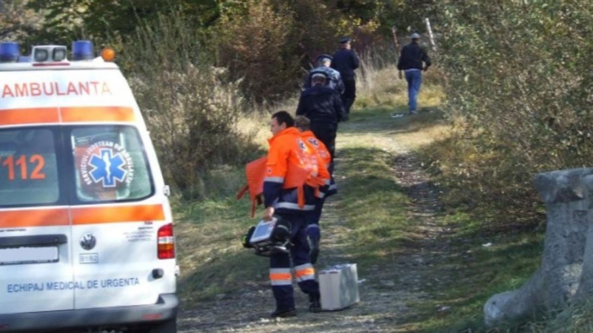 Pădurar din Bistrița-Năsăud, mort sub copacul pe care îl tăia