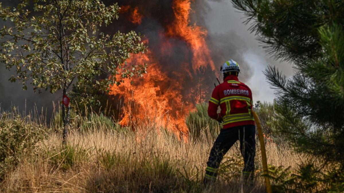 Avertizare MAE: Portugalia prelungește alerta privind riscul de producere a incendiilor de vegetație