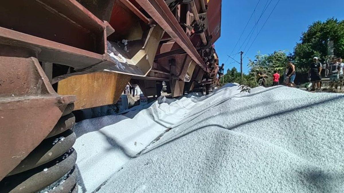 Garda de Mediu Constanta a amendat firma al cărei tren a fost atacat de hoți