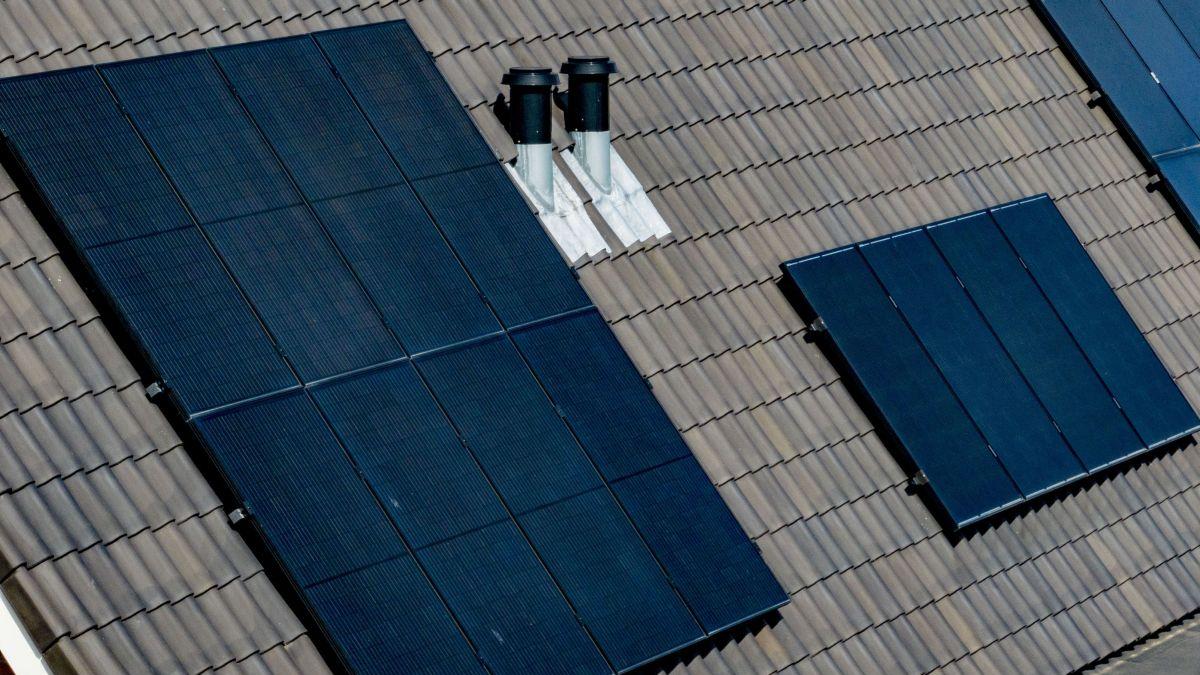 Nu crește porumb? Plantăm fotovoltaice