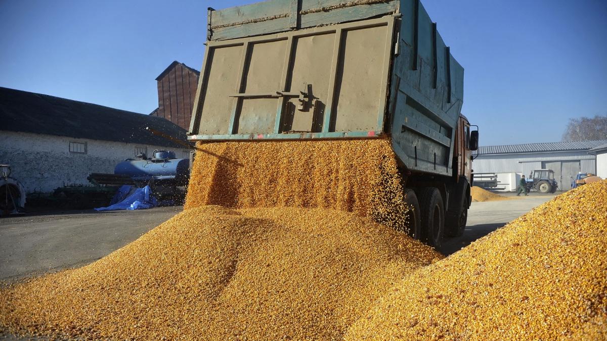 Cerealele ucrainene ar putea fi exportate printr-un coridor umanitar în Marea Neagră