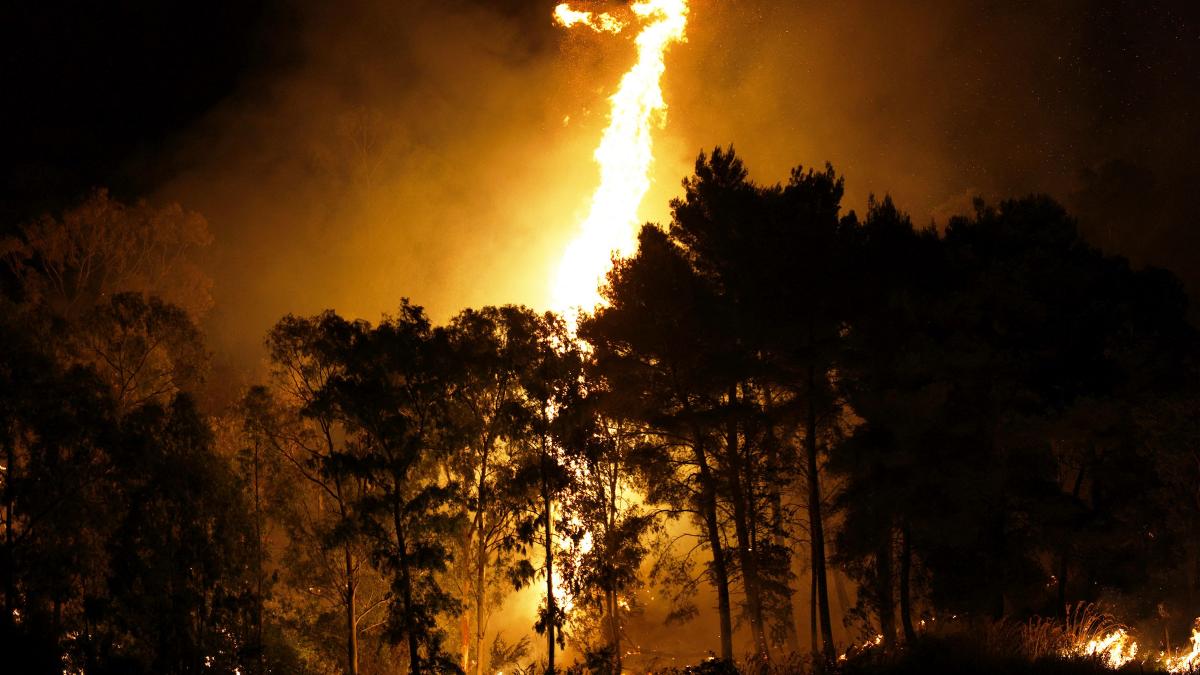 Risc major de producere a incendiilor de vegetație în Portugalia
