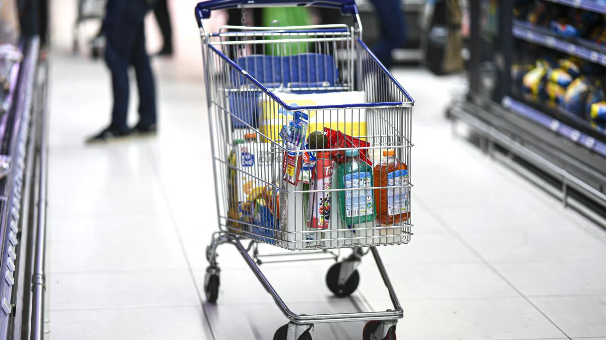 Criză economică în Europa. Francezii și-au redus cheltuielile pentru alimente esențiale