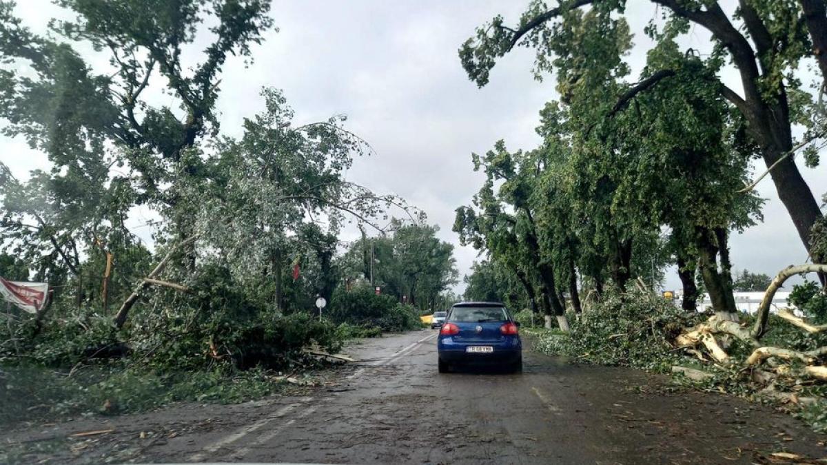 Trafic oprit pe DN 15, în Harghita: vântul a rupt copaci