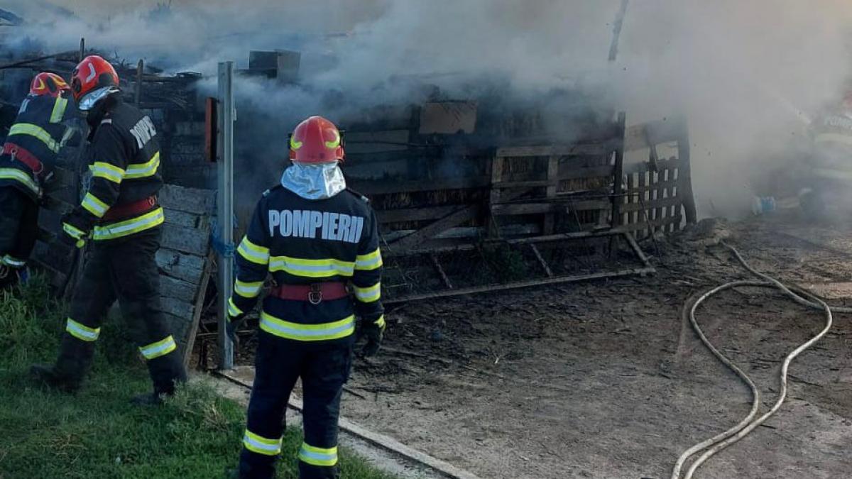 Incendiu uriaș la o fermă din Tulcea: 14 păsări au ars