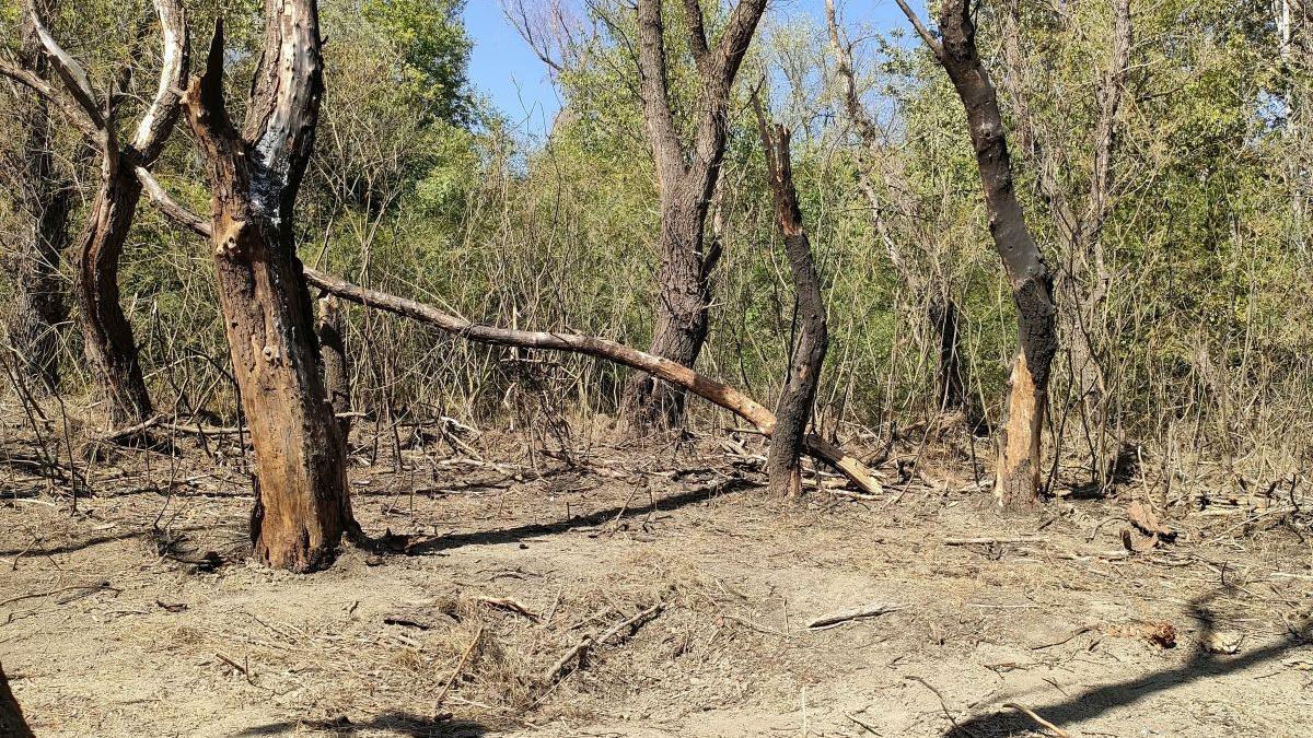 MApN instalează adăposturi de protecţie a populaţiei în localitatea Plauru