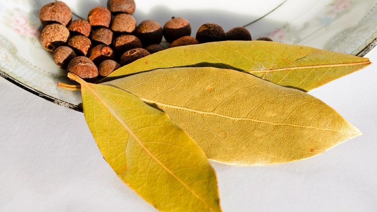 Surprising Health Benefits of Bay Leaves: From Cold and Flu Relief to Improving Sleep Quality