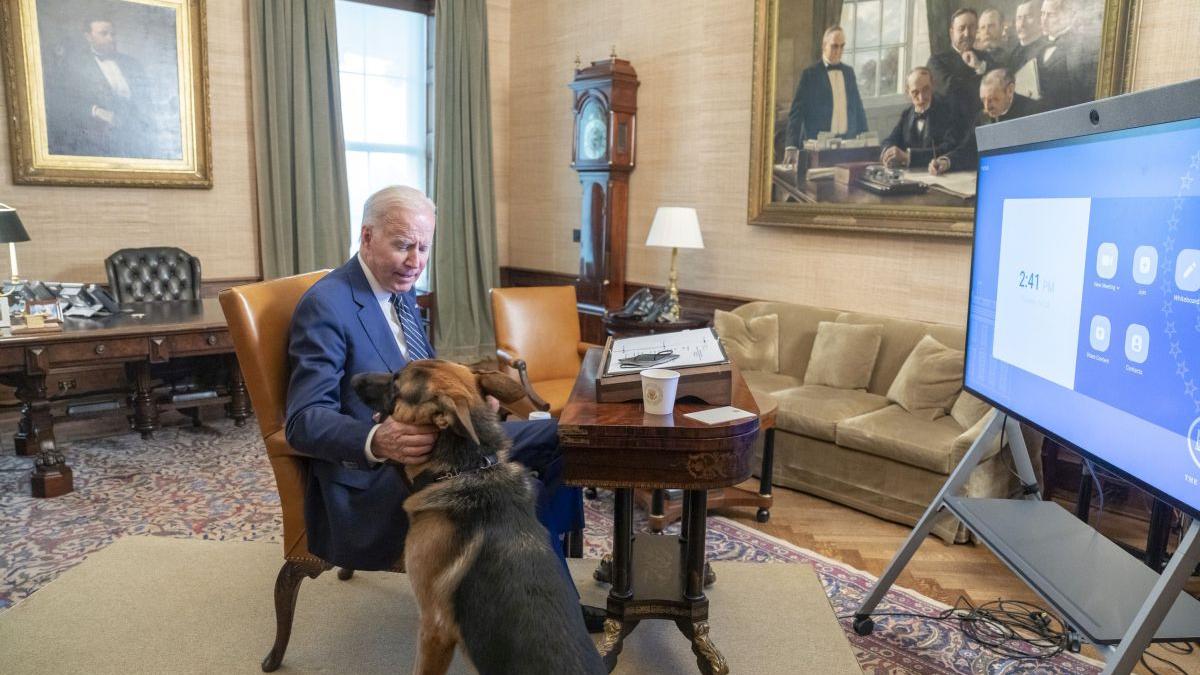 Câinele lui Biden, spaima Serviciului Secret