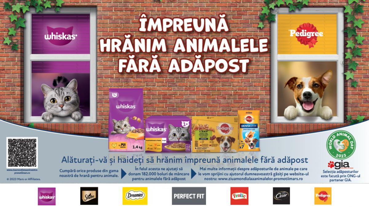 Ziua Mondială a Animalelor se sărbătorește în fiecare an pe 4 octombrie