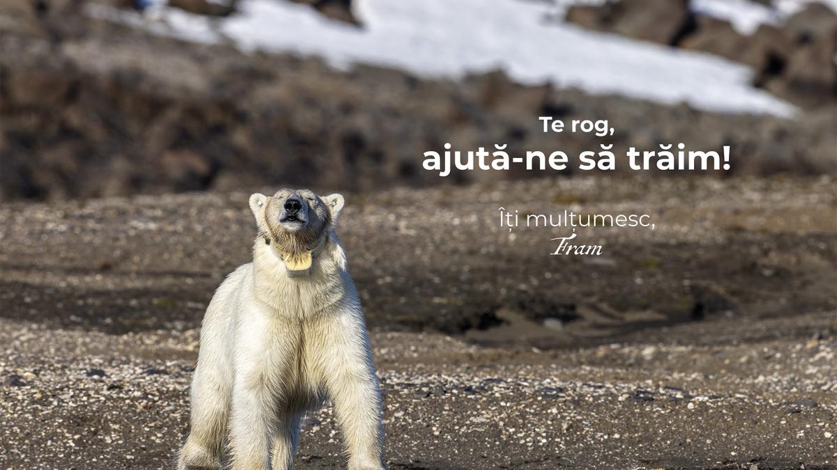Expoziția „La NORD de cuvinte”, ce ilustrează primele expediții arctice ale fotografului Rareș Beșliu - deschisă în cadrul Bucharest Photofest
