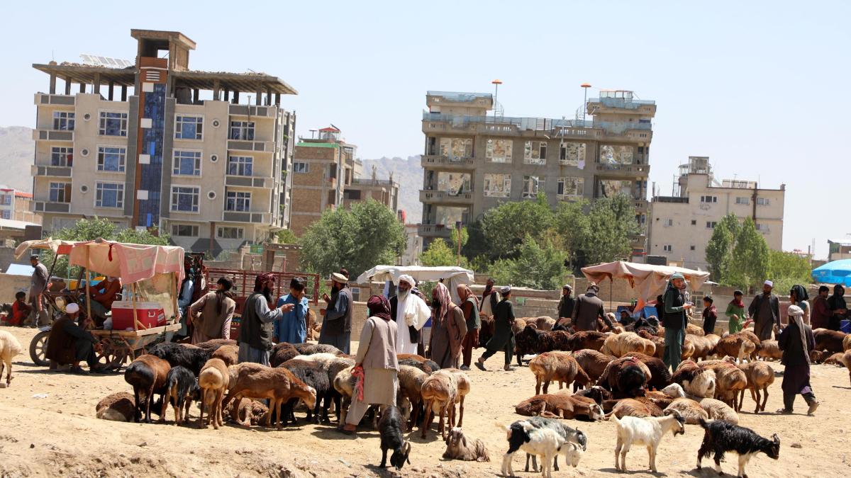 Cutremurele din Afganistan au provocat moartea a peste 2.000 de oameni