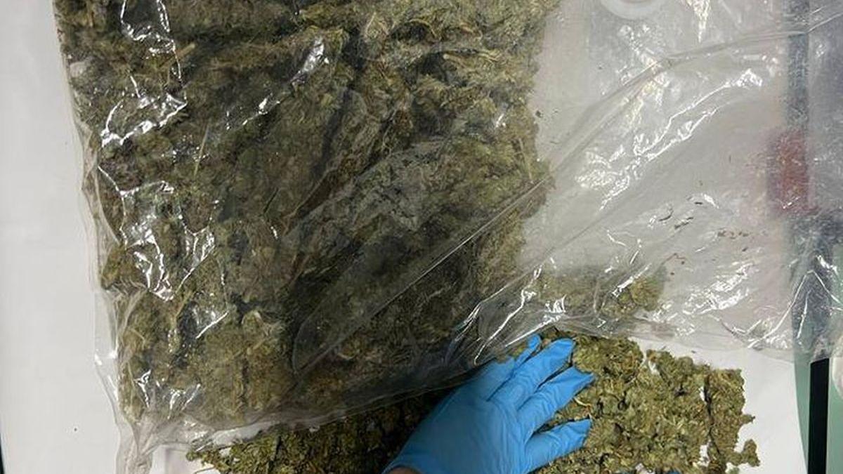 Peste 1 kg de canabis, descoperit de câinele Athos