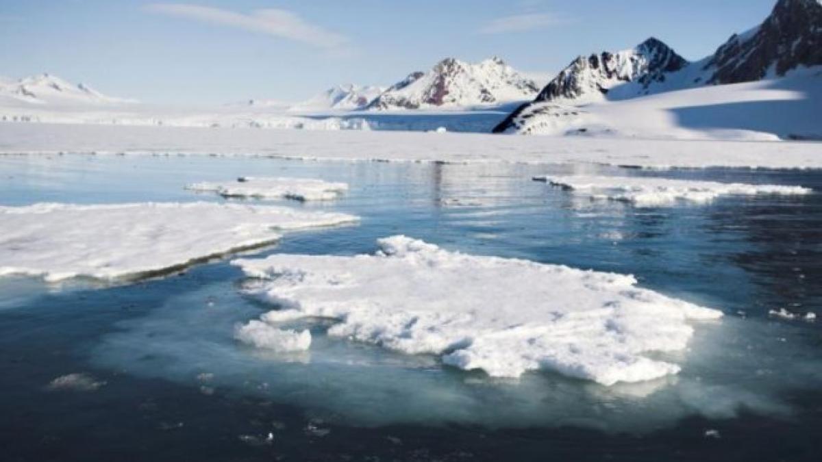 Gripa aviară a fost detectată pentru prima dată în Antarctica