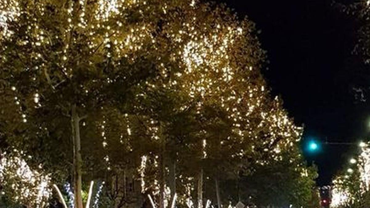 Au început pregătirile pentru sărbătorile de iarnă. Se montează iluminatul festiv din Capitală