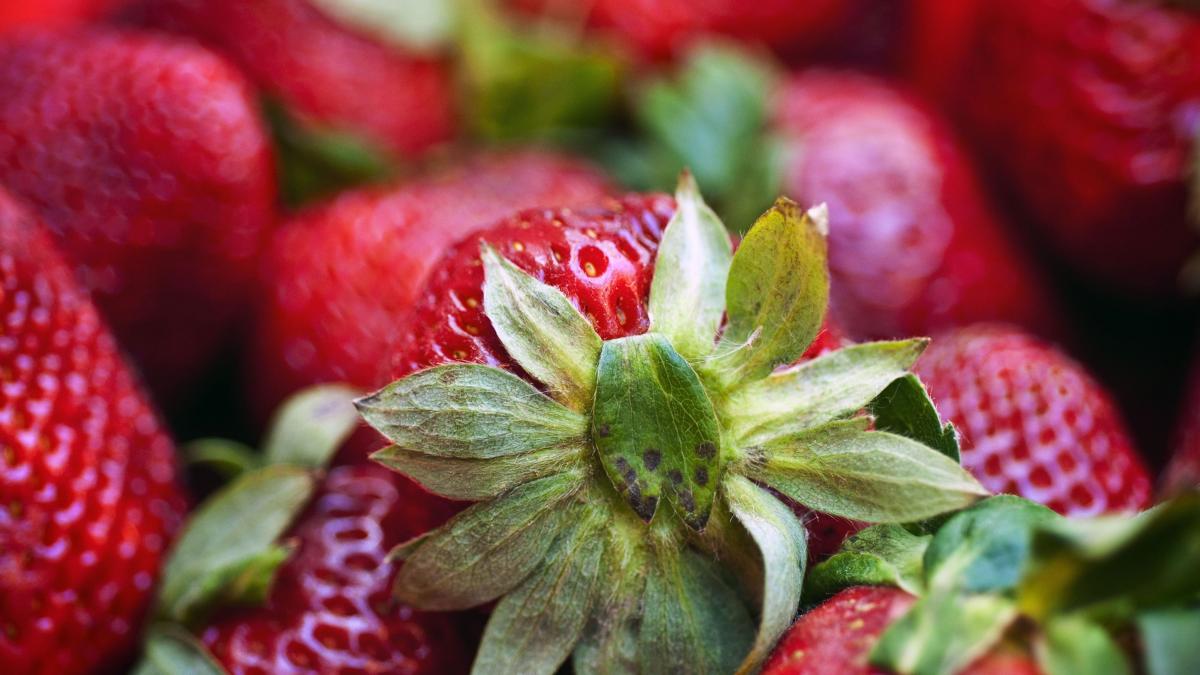 Fructe și legume românești pe tarabe. Cât costă o caserolă cu căpșune