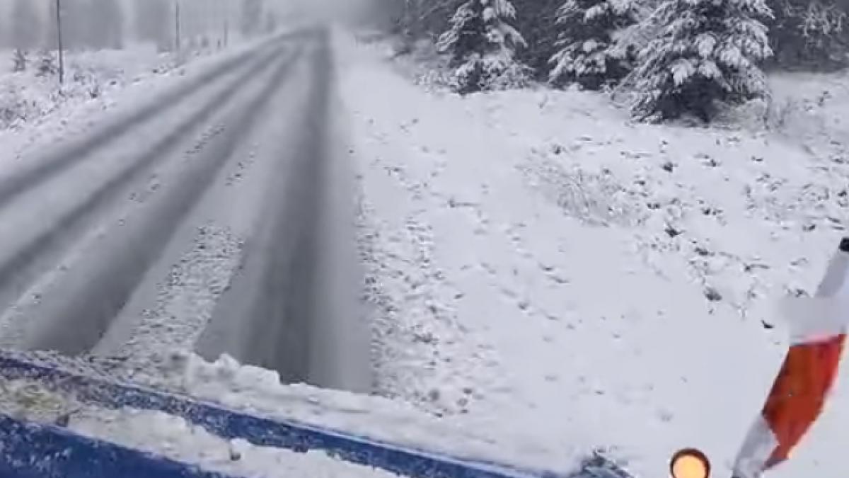 iarna harghita circulatie ceata densa transilvania