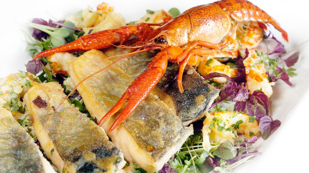 carne beneficii extraordinare organism vlad ciurea potriveste exact structura cerebrala