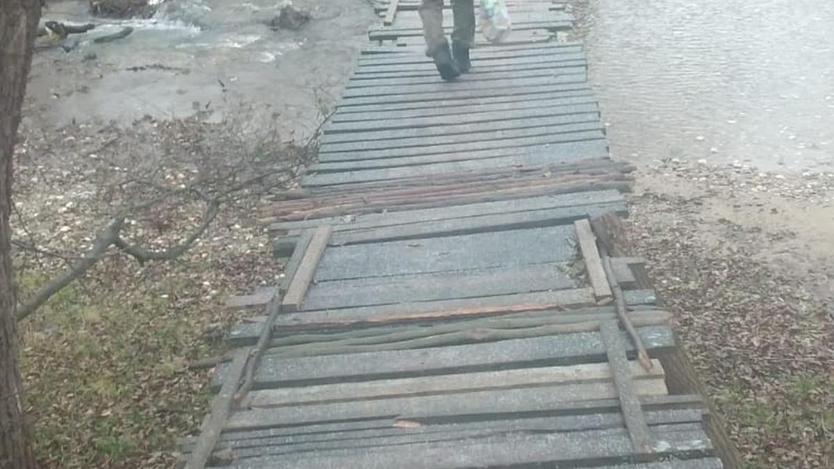 Povestea podului blocat de primărie și un pește preistoric