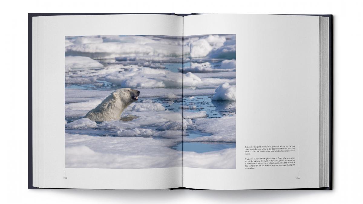 Emoțiile animalelor, reunite acum într-un album fotografic