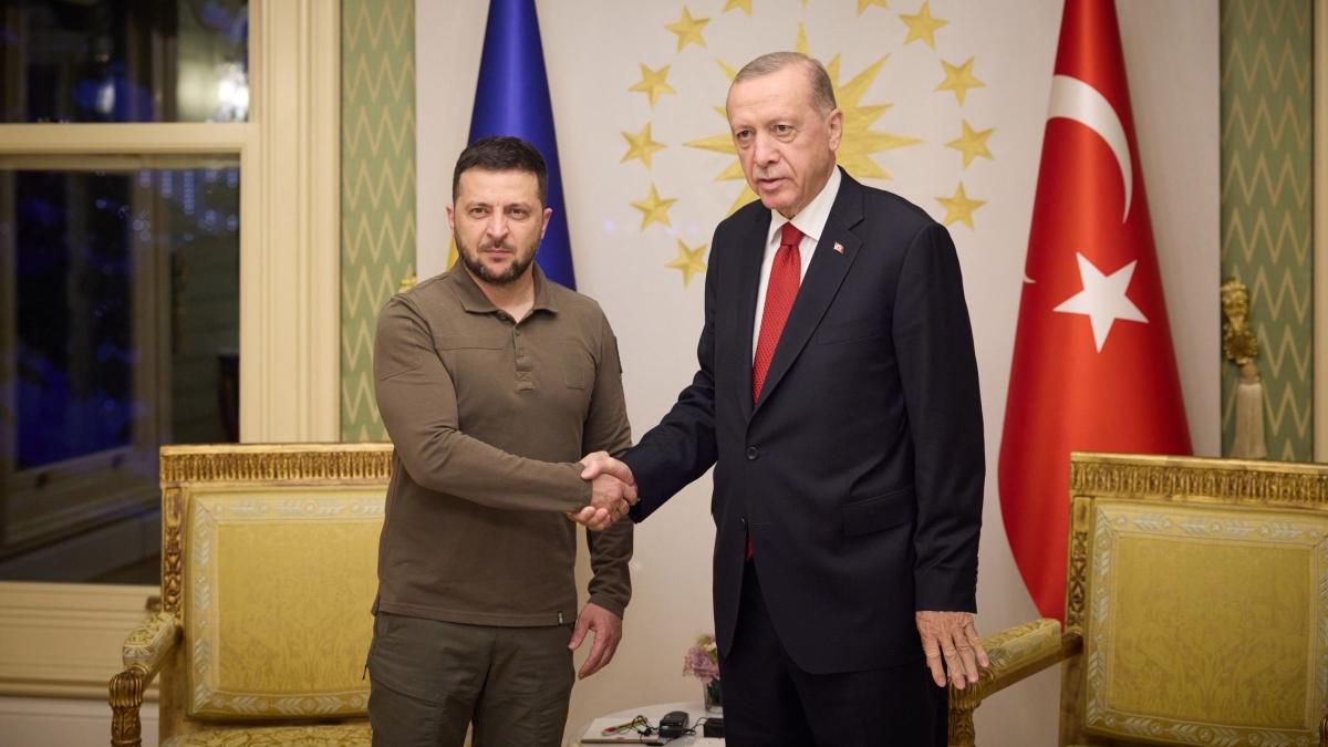 Unde Uniunea Europeană vede obstacole, Turcia vede oportunităţi și investește masiv în Ucraina: comerţul bilateral a ajuns la un nivel record