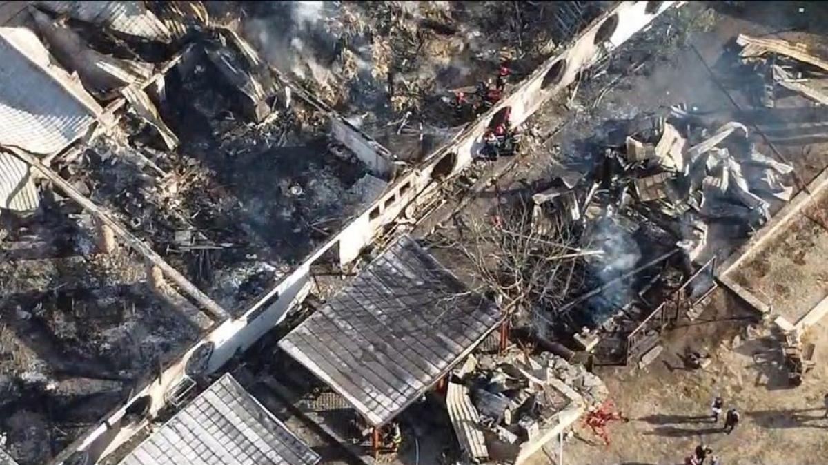 Fiul șefului Direcției de Informații a Armatei, mort în incendiul de la Ferma Dacilor. Avea sau nu certificat de clasificare pensiunea? 