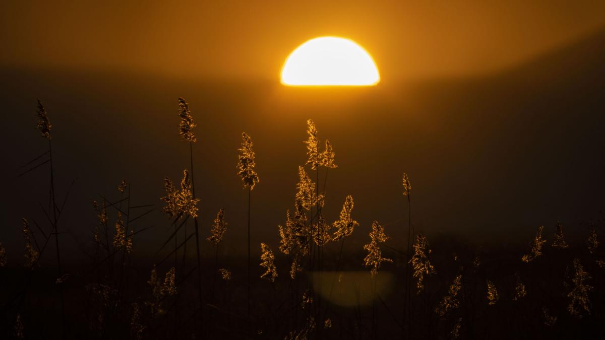 Anomaliile vremii în ianuarie 2024: temperaturi medii peste nivelul normal și precipitații numeroase