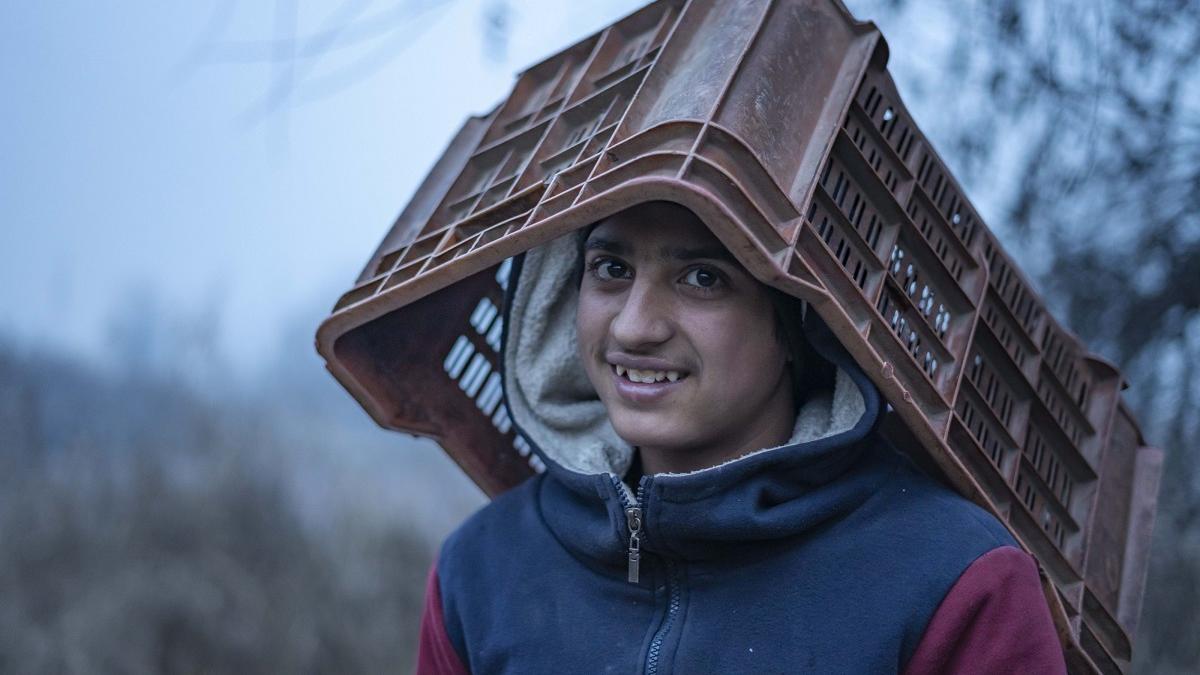 Val de frig în nordul Indiei