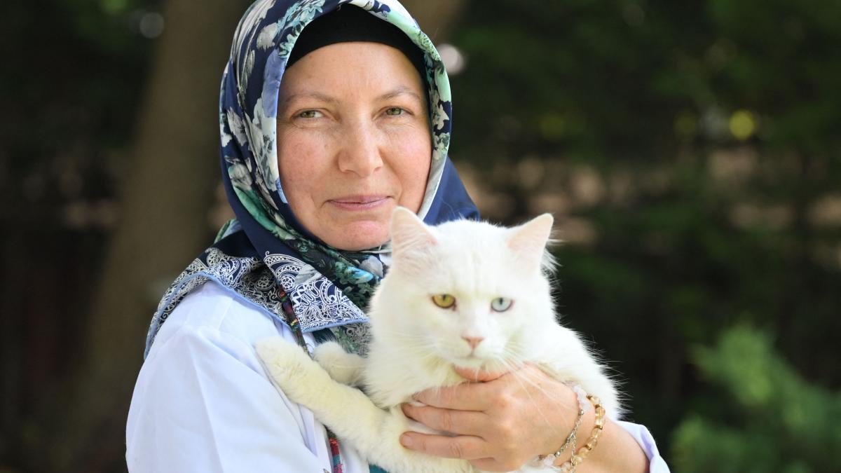 Animalele de companie previn demența la persoanele vârstnice care locuiesc singure