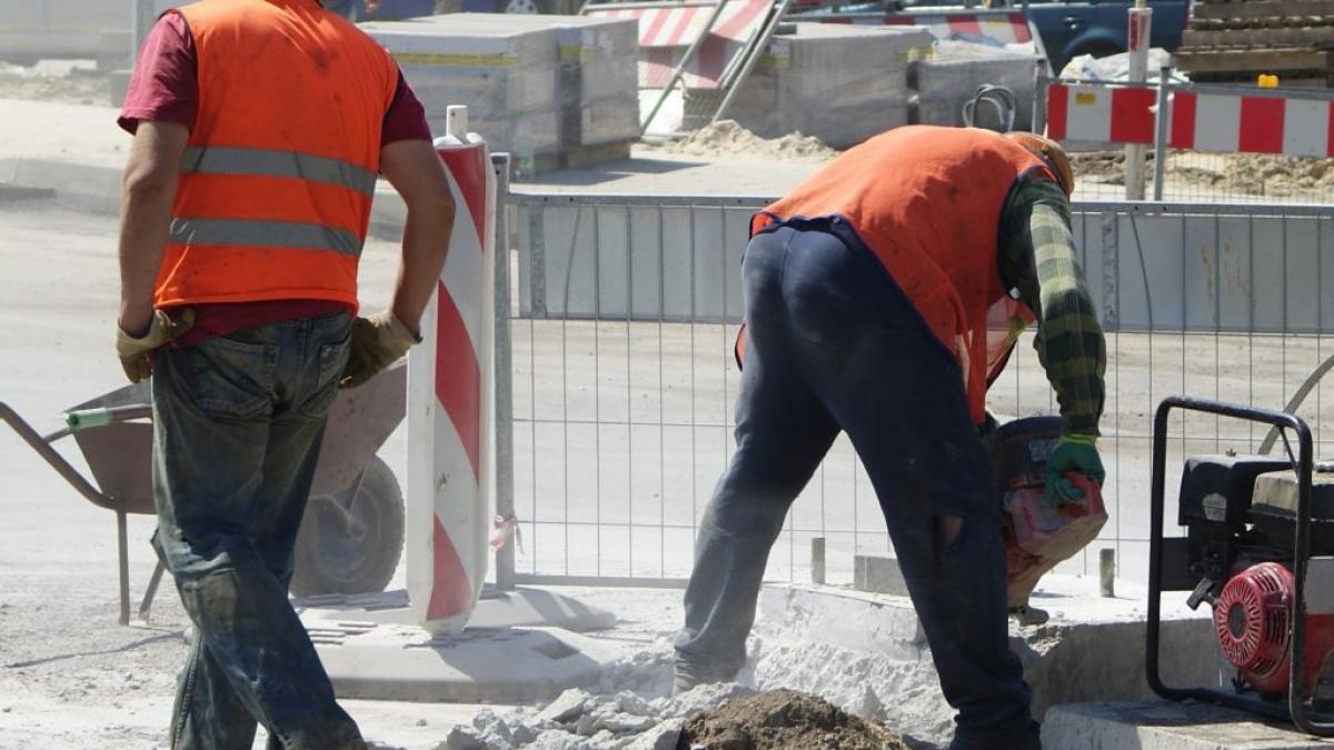 Rezultate record pe piața muncii din România: 6,7 milioane de contracte de muncă în 2023