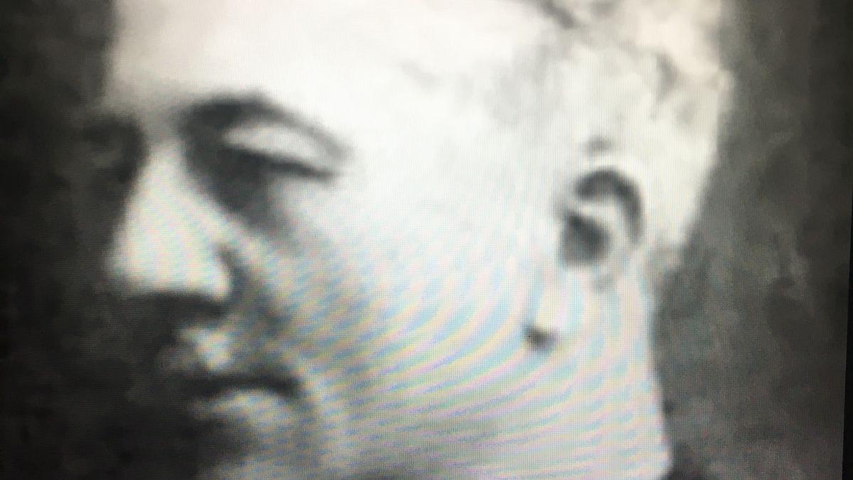 Gheorghe Brăescu, „alternativa” ratată a lui Caragiale