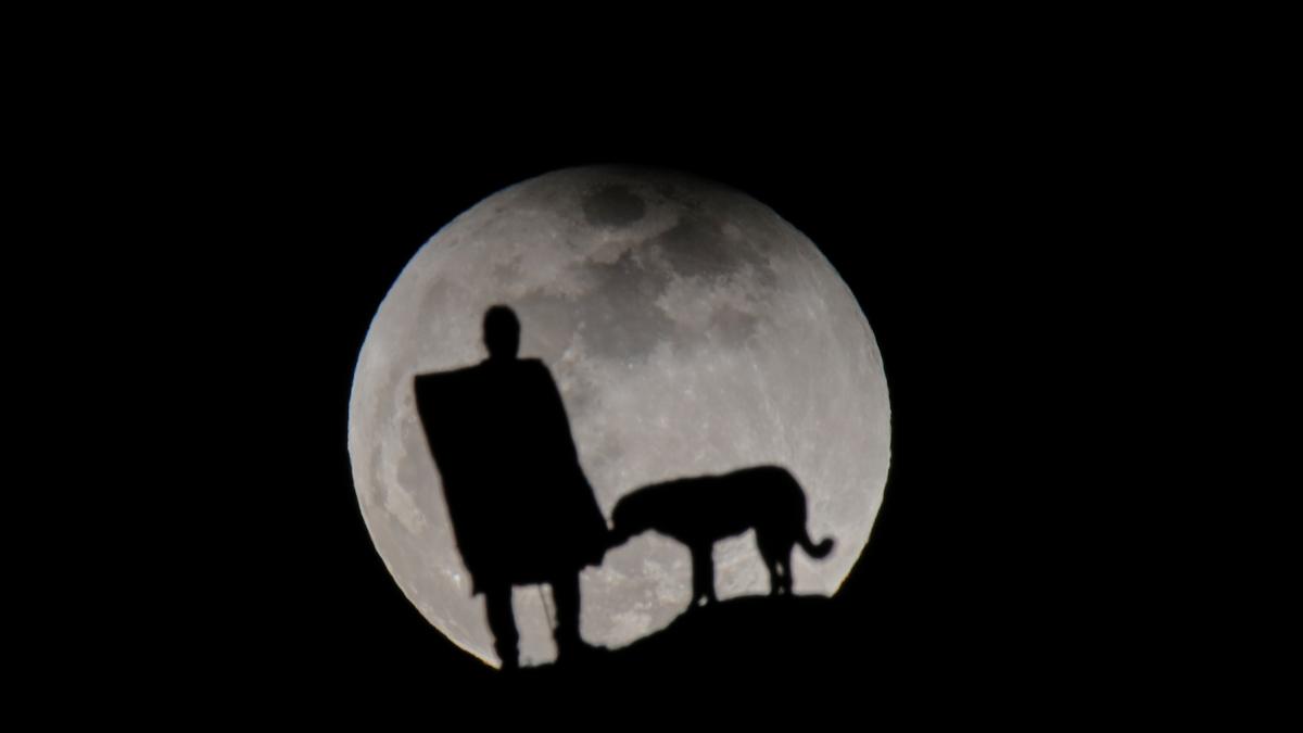 Luna Lupului, 25 ianuarie 2024. Influența asupra fiecărei zodii