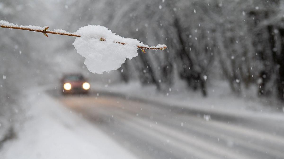 ninge viscolit suceava craiova iasi strat zapada prahova