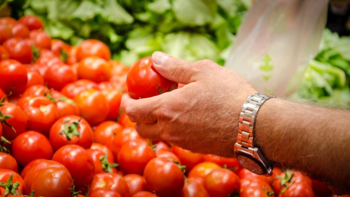 Proprietățile antimicrobiene ale sucului de roșii pot ucide Salmonella