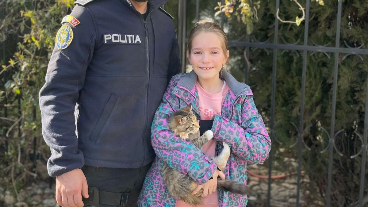 Pisicuța rătăcită a unei fetițe, găsită de polițiști în timp record