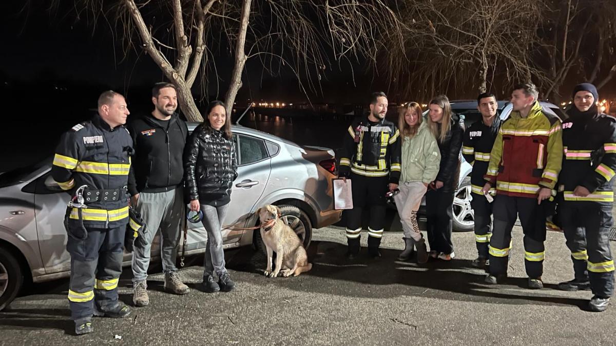 caine florin zamfirescu salvat lac inghetat mogosoaia