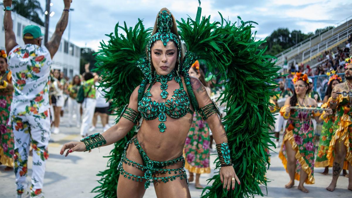 Carnavalul de la Rio, amenințat de țânțari 