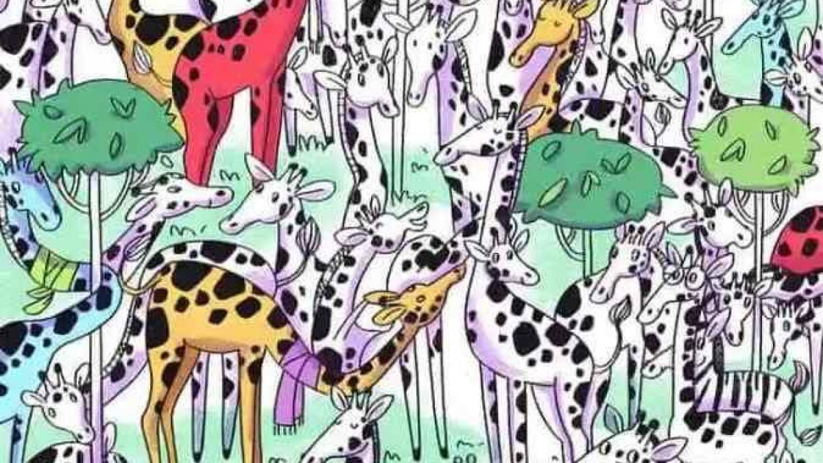 Test de inteligență. Găsește zebra ascunsă printre girafe