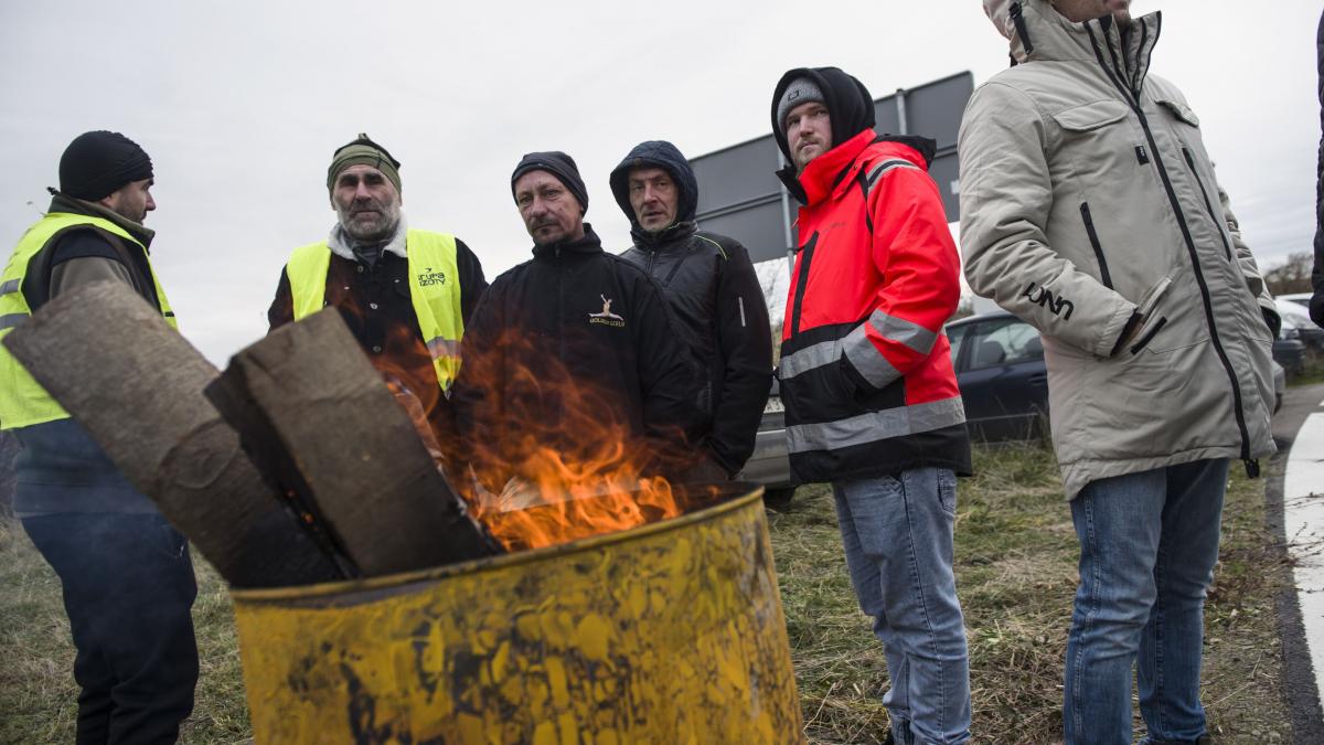 Fermierii polonezi intră în grevă timp de o lună împotriva politicilor UE
