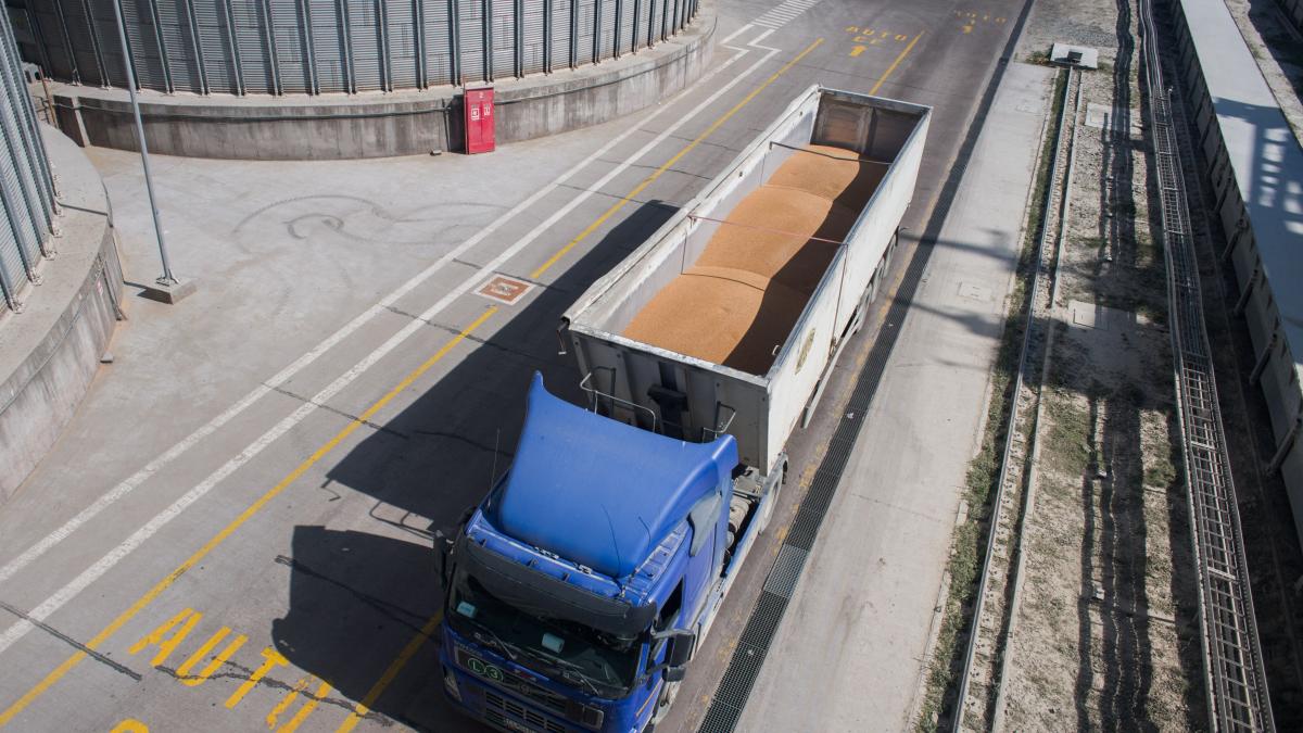 Ucraina este pe cale să exporte toate cerealele din recolta 2023