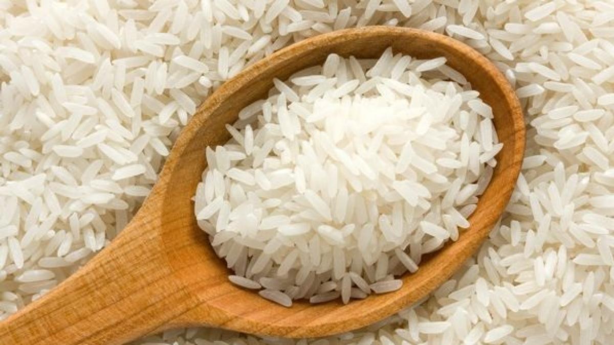 Revoluție în domeniul culinar. A fost inventat un nou aliment, ecologic și ieftin