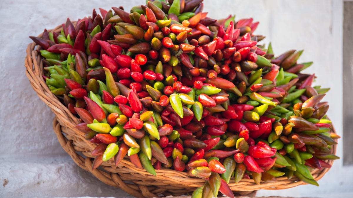 Ardeiul iute în alimentație, antioxidant și agent anti-obezitate. Mayașii îl foloseau pentru a trata astmul